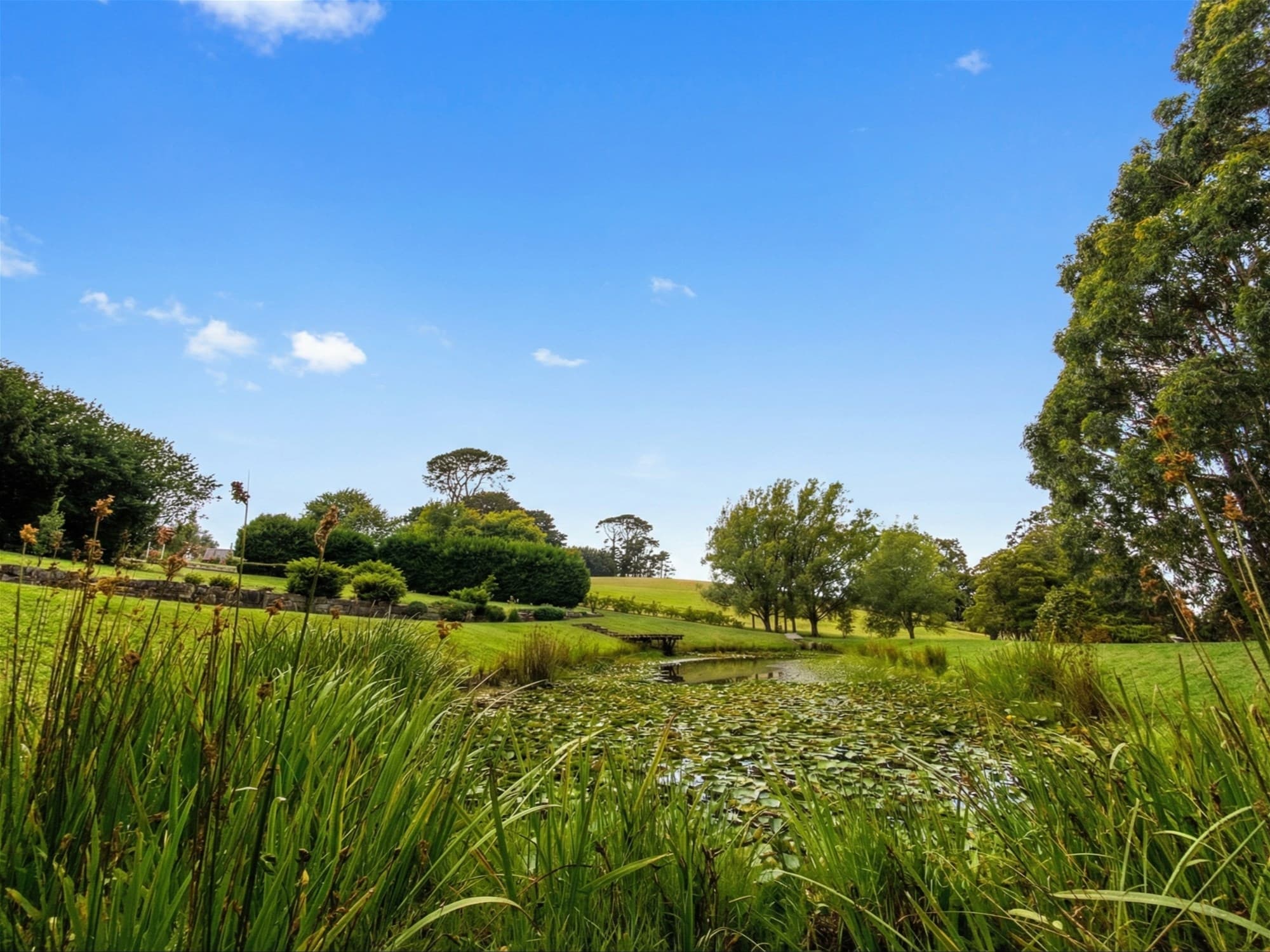Established gardens and water features at Springbank Mardan