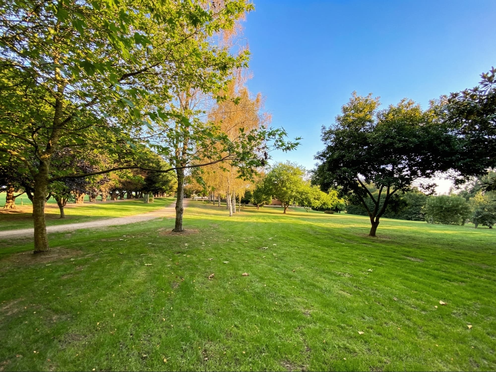Open lawns and orchard at Mardan