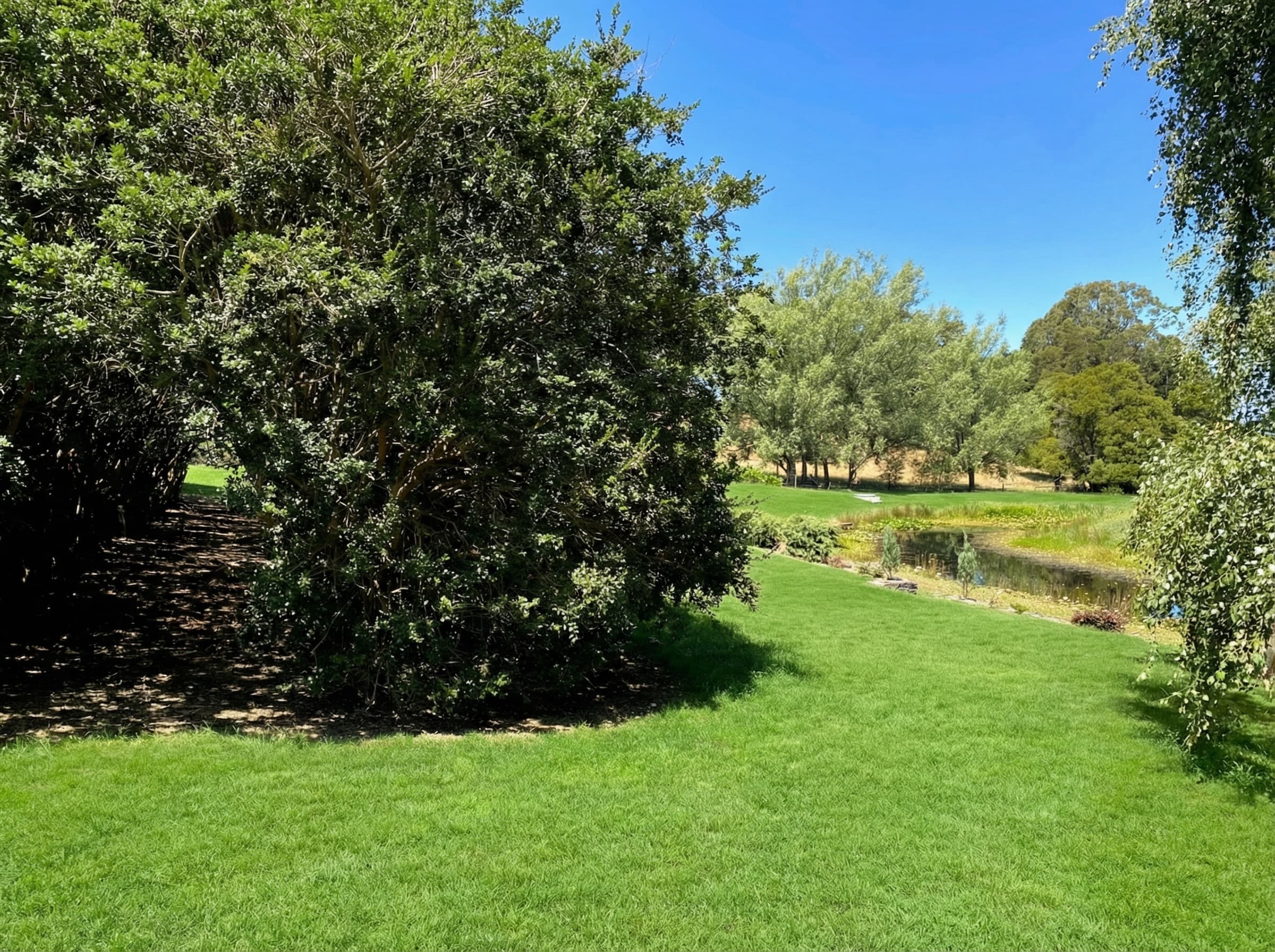 Robert Boyle designed gardens with mature trees