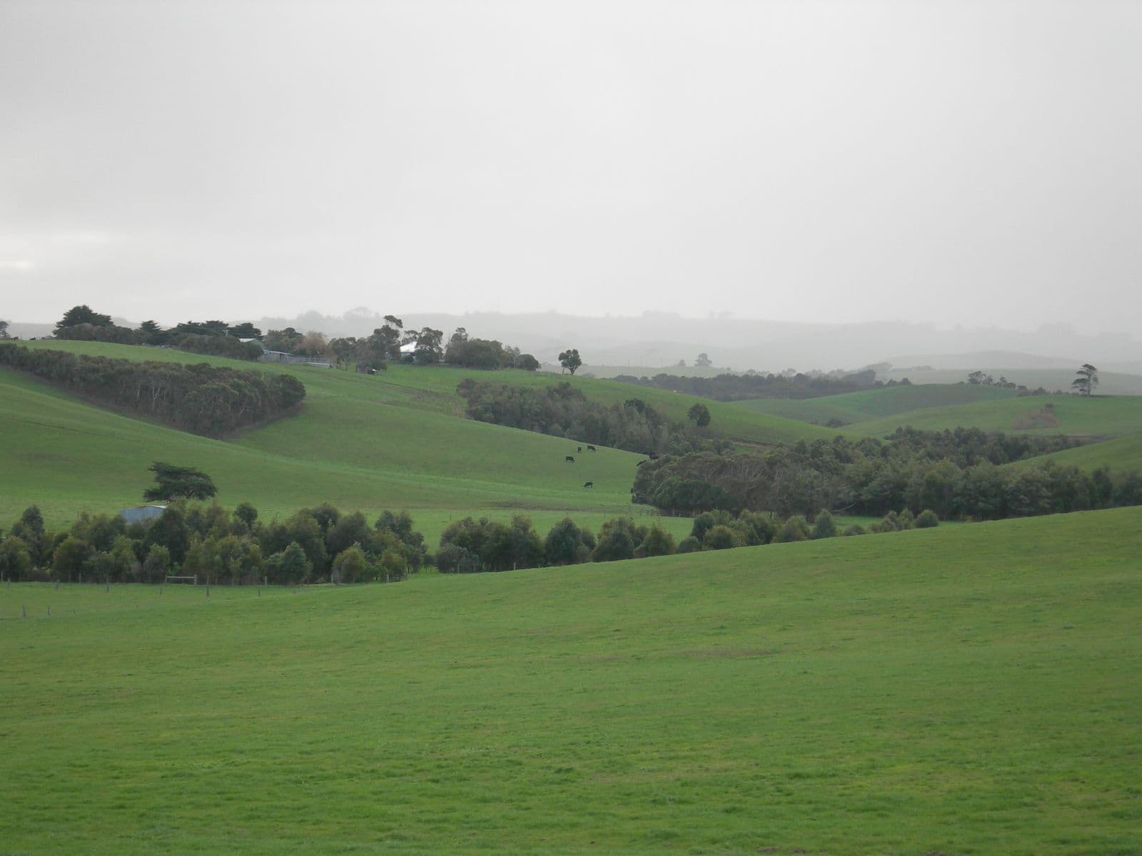South Gippsland rural outlook with rolling hills and farmland