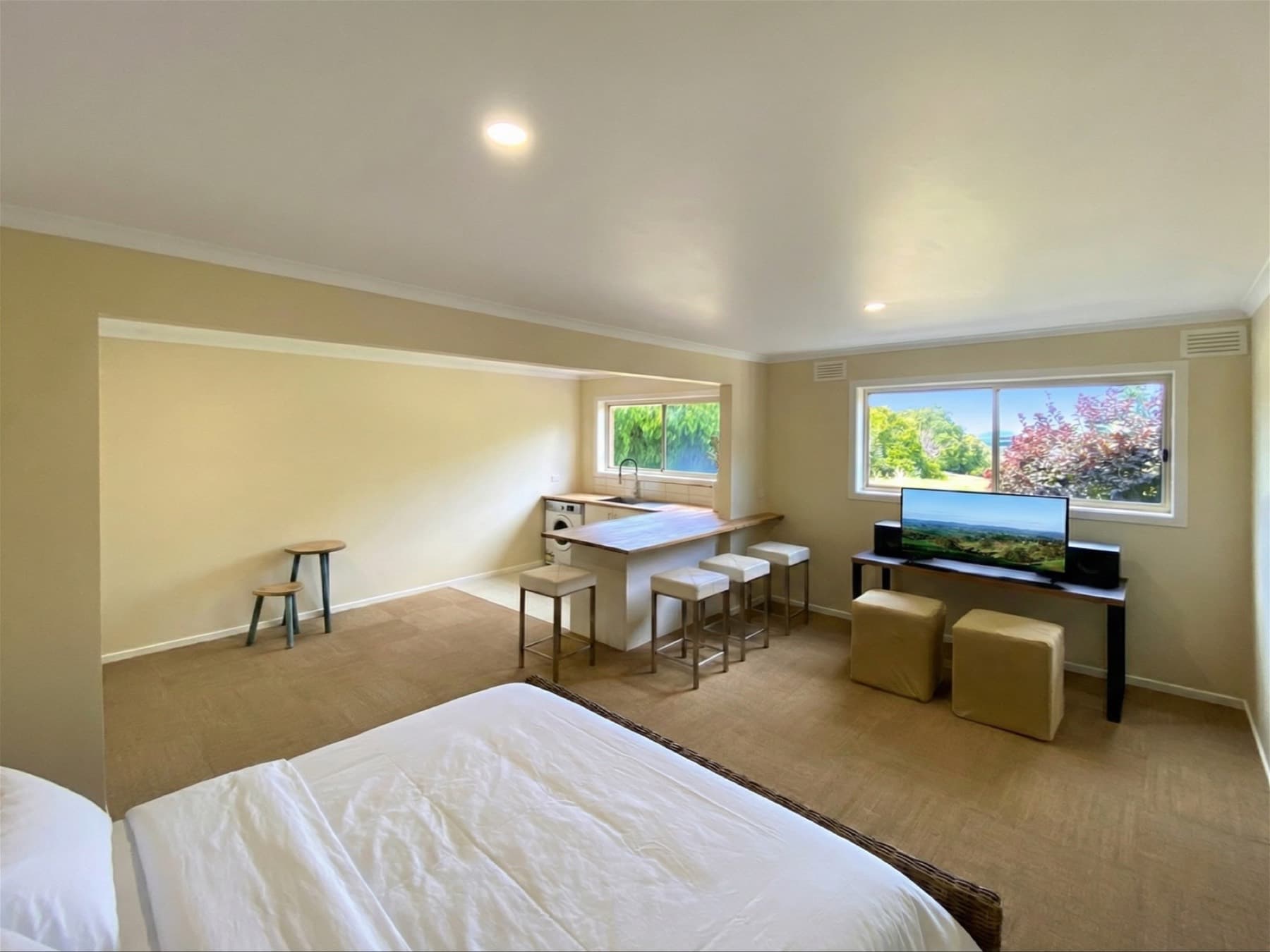 Lower-level multipurpose area with kitchenette and bed zone